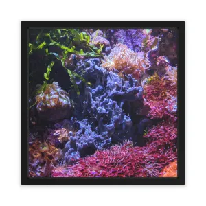 Aquarium Coral Framed Poster