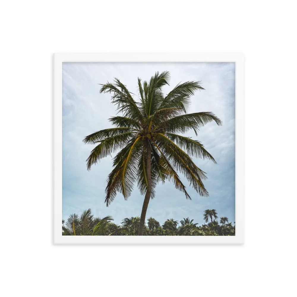 Bahamian Palm Poster