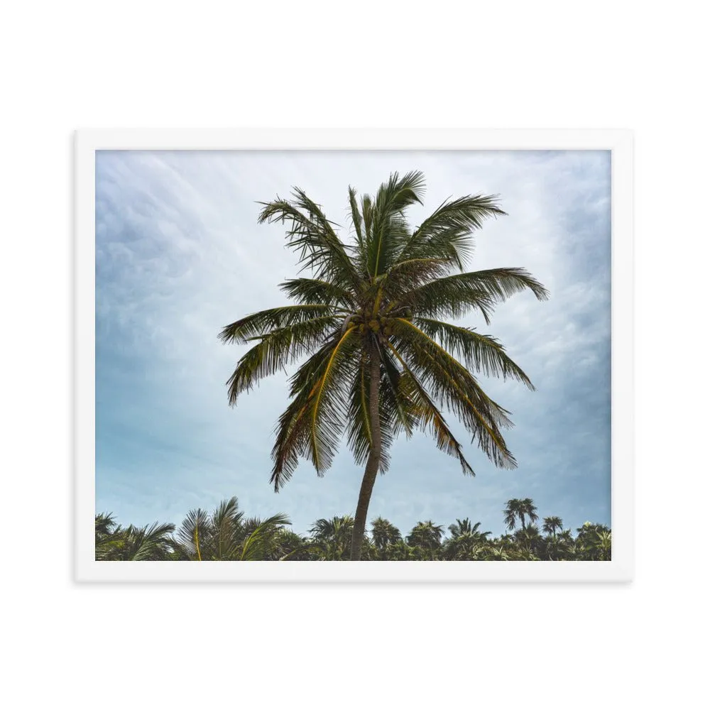 Bahamian Palm Poster