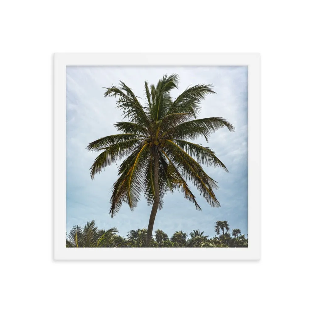 Bahamian Palm Poster