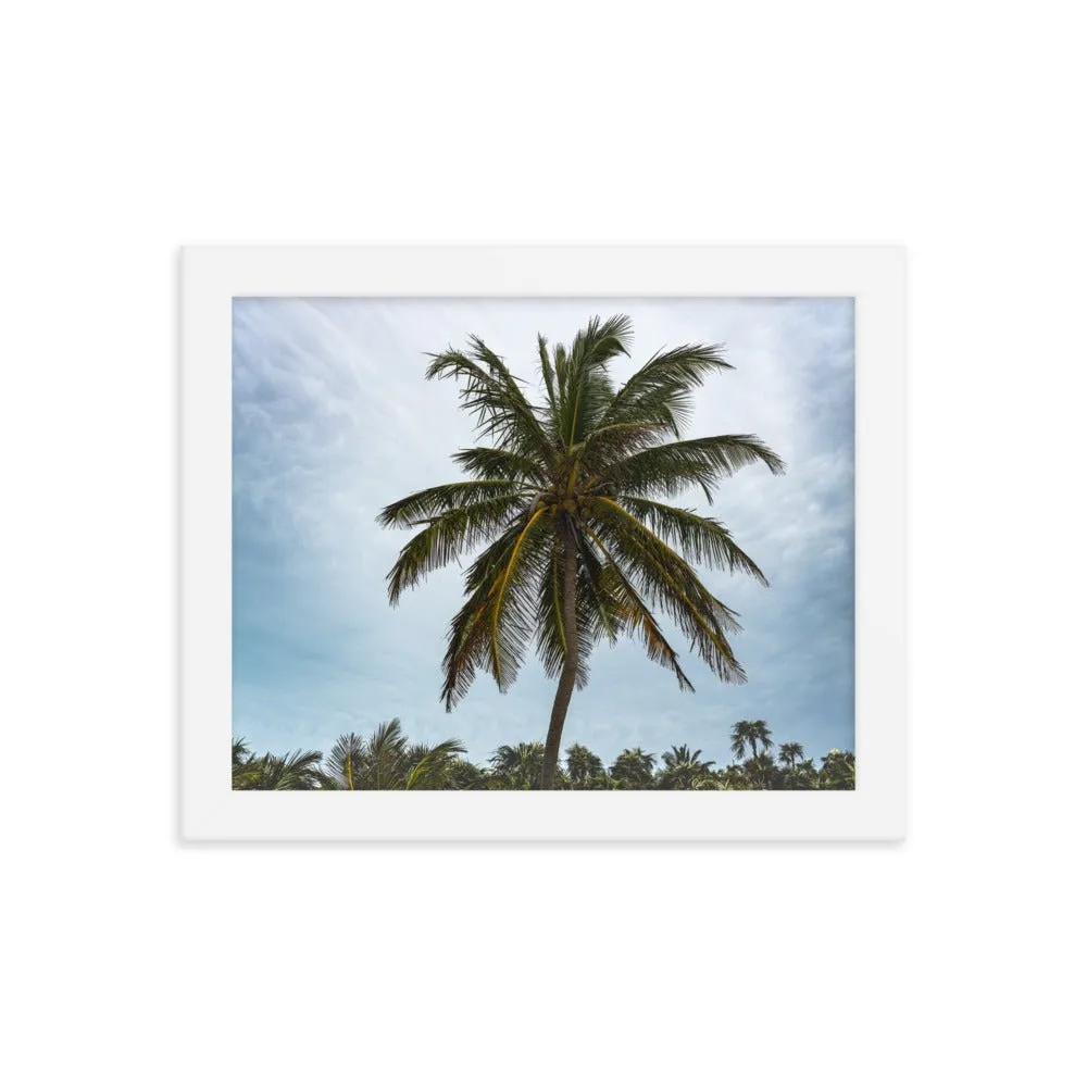 Bahamian Palm Poster