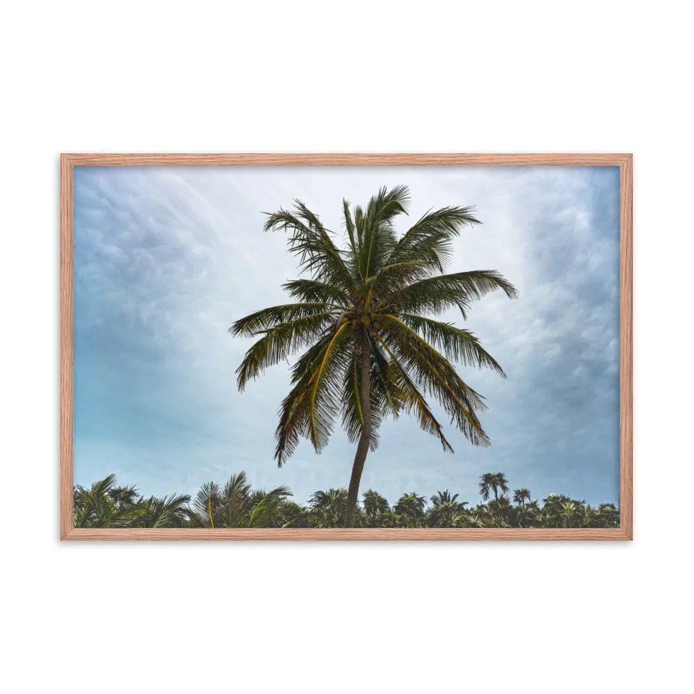 Bahamian Palm Poster