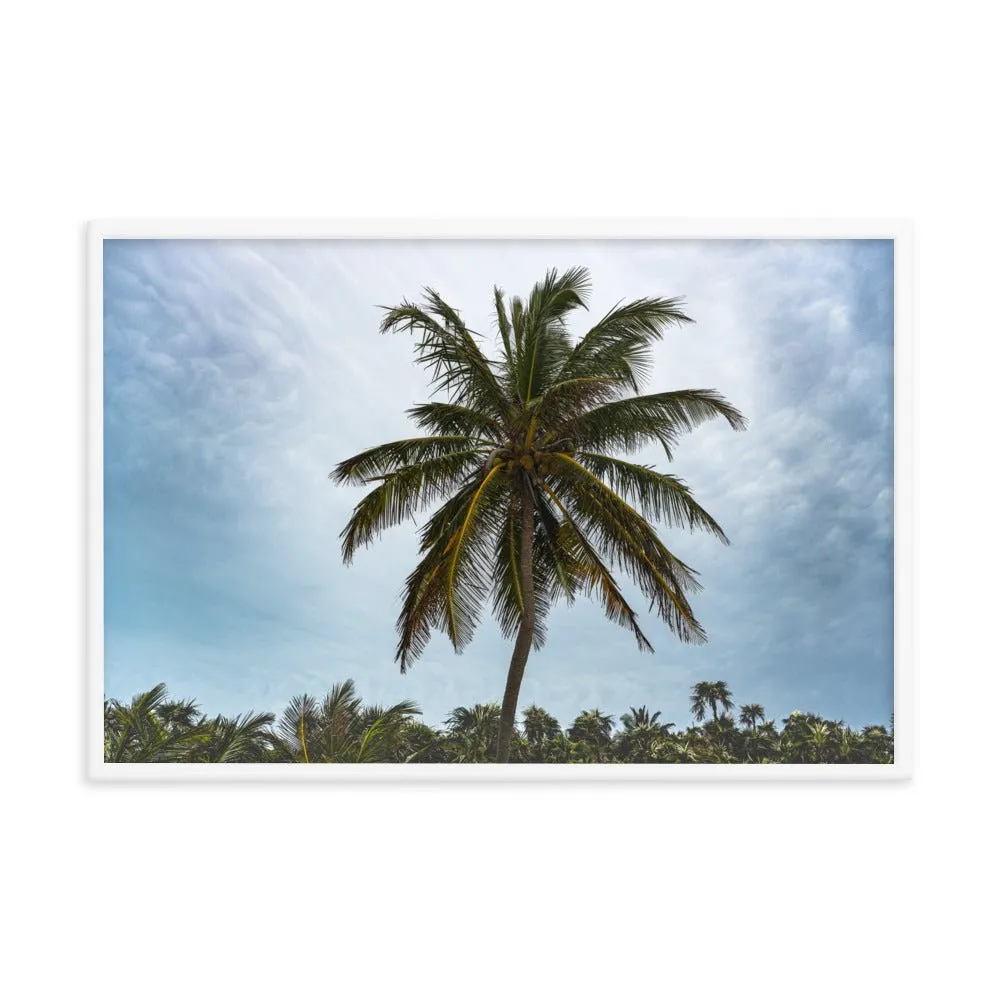 Bahamian Palm Poster