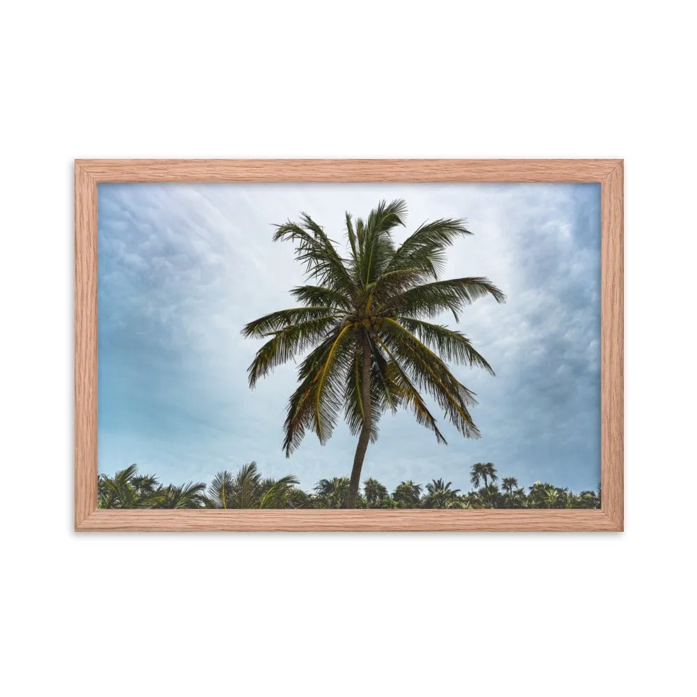 Bahamian Palm Poster