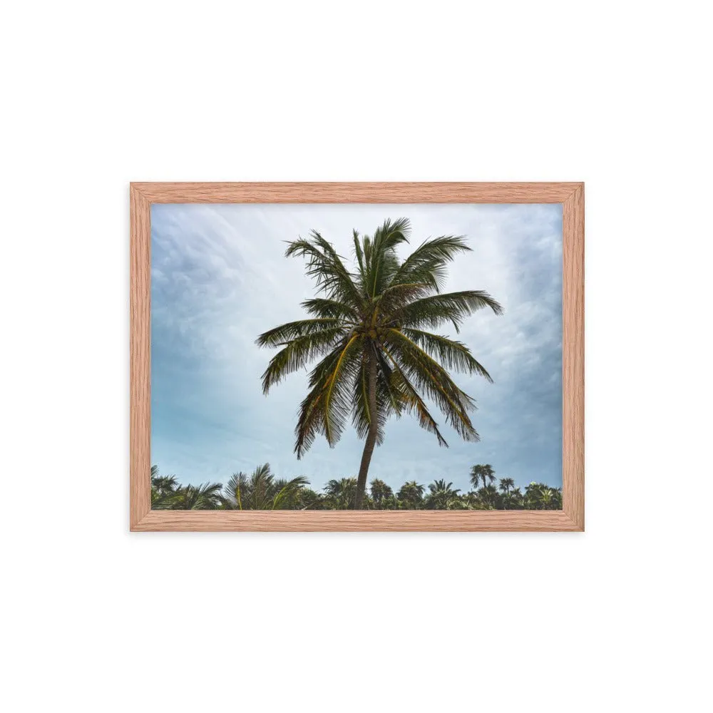 Bahamian Palm Poster