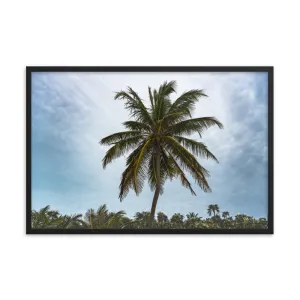 Bahamian Palm Poster