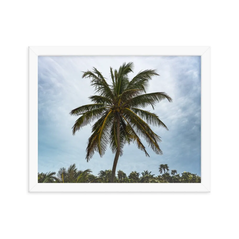 Bahamian Palm Poster