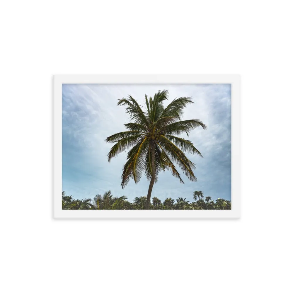 Bahamian Palm Poster