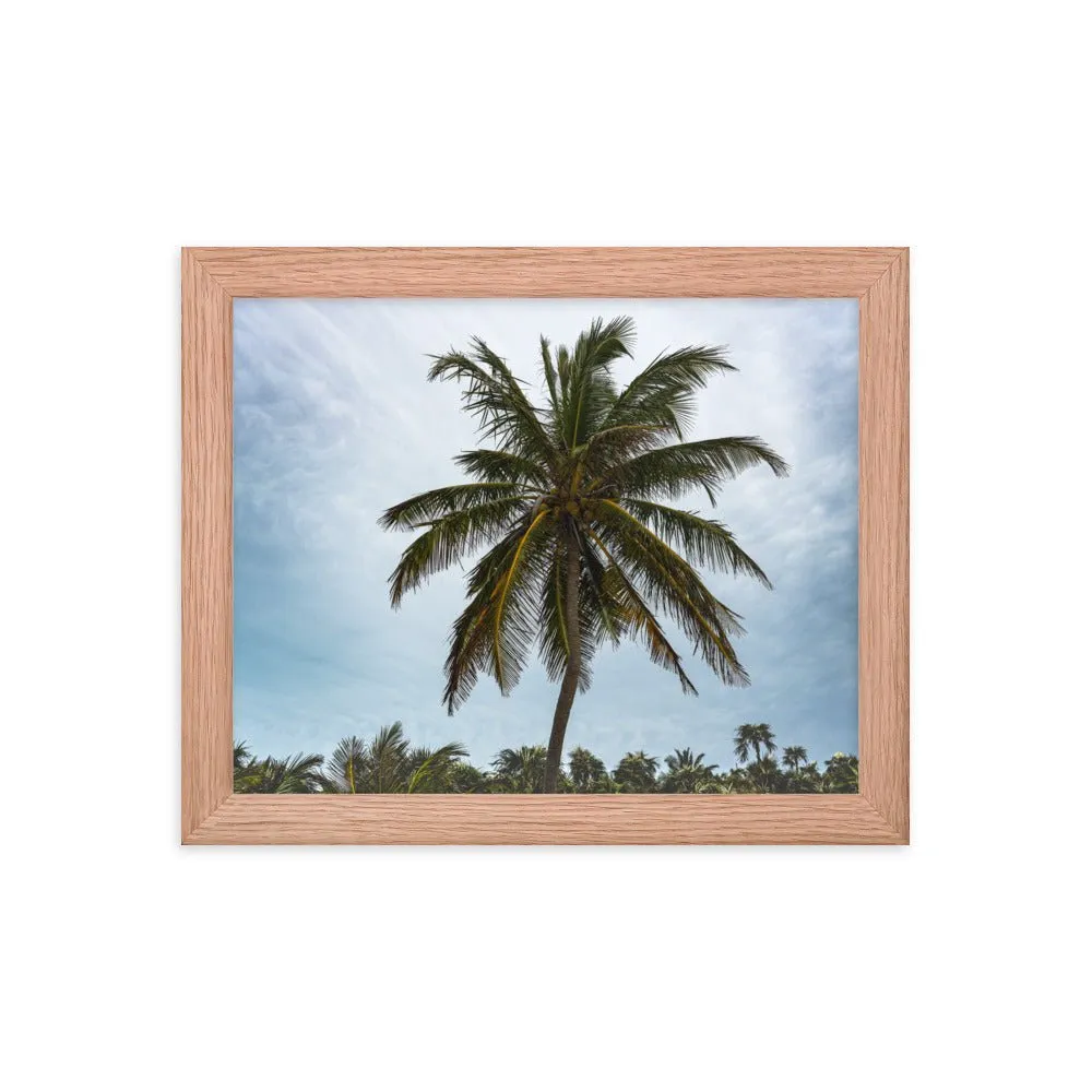 Bahamian Palm Poster