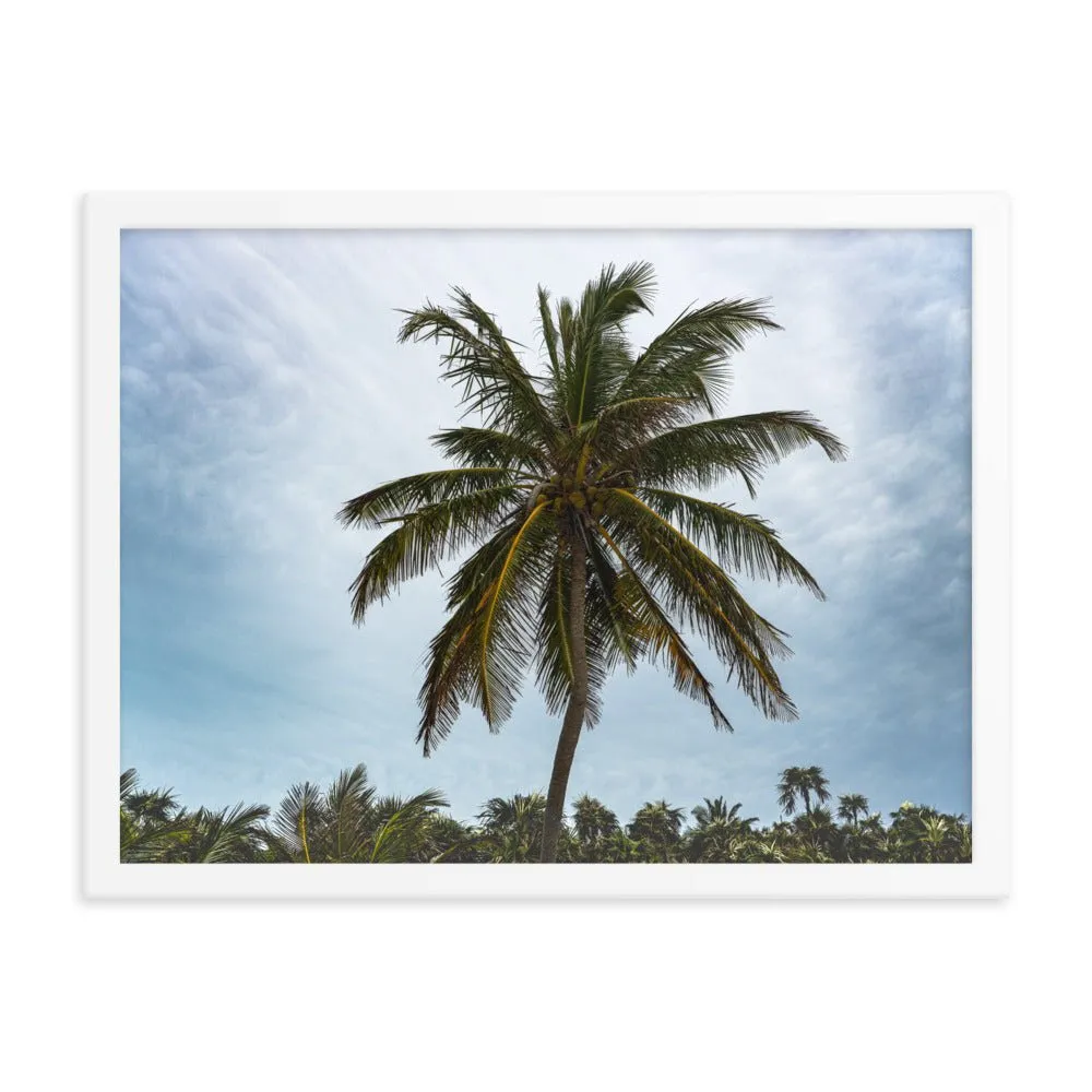 Bahamian Palm Poster