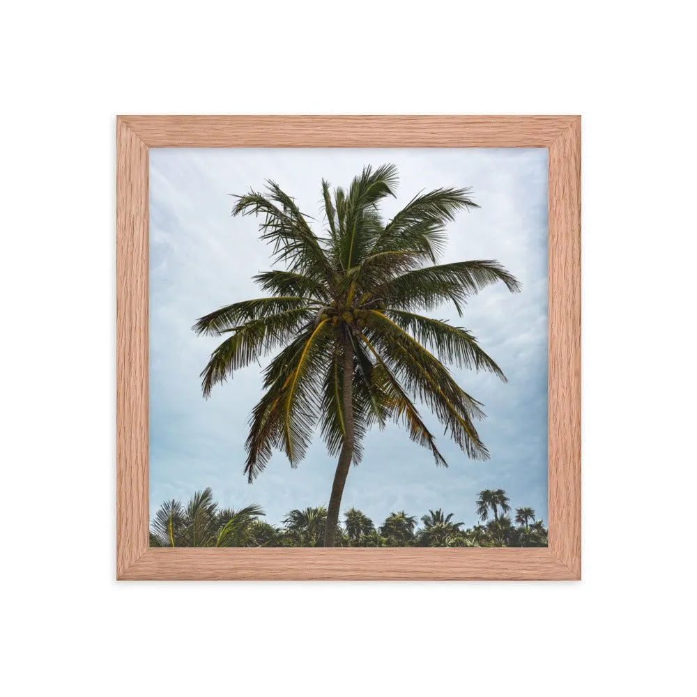 Bahamian Palm Poster