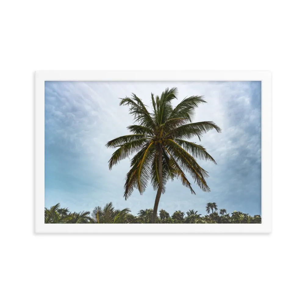 Bahamian Palm Poster