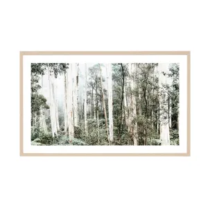 Bushland Art Print