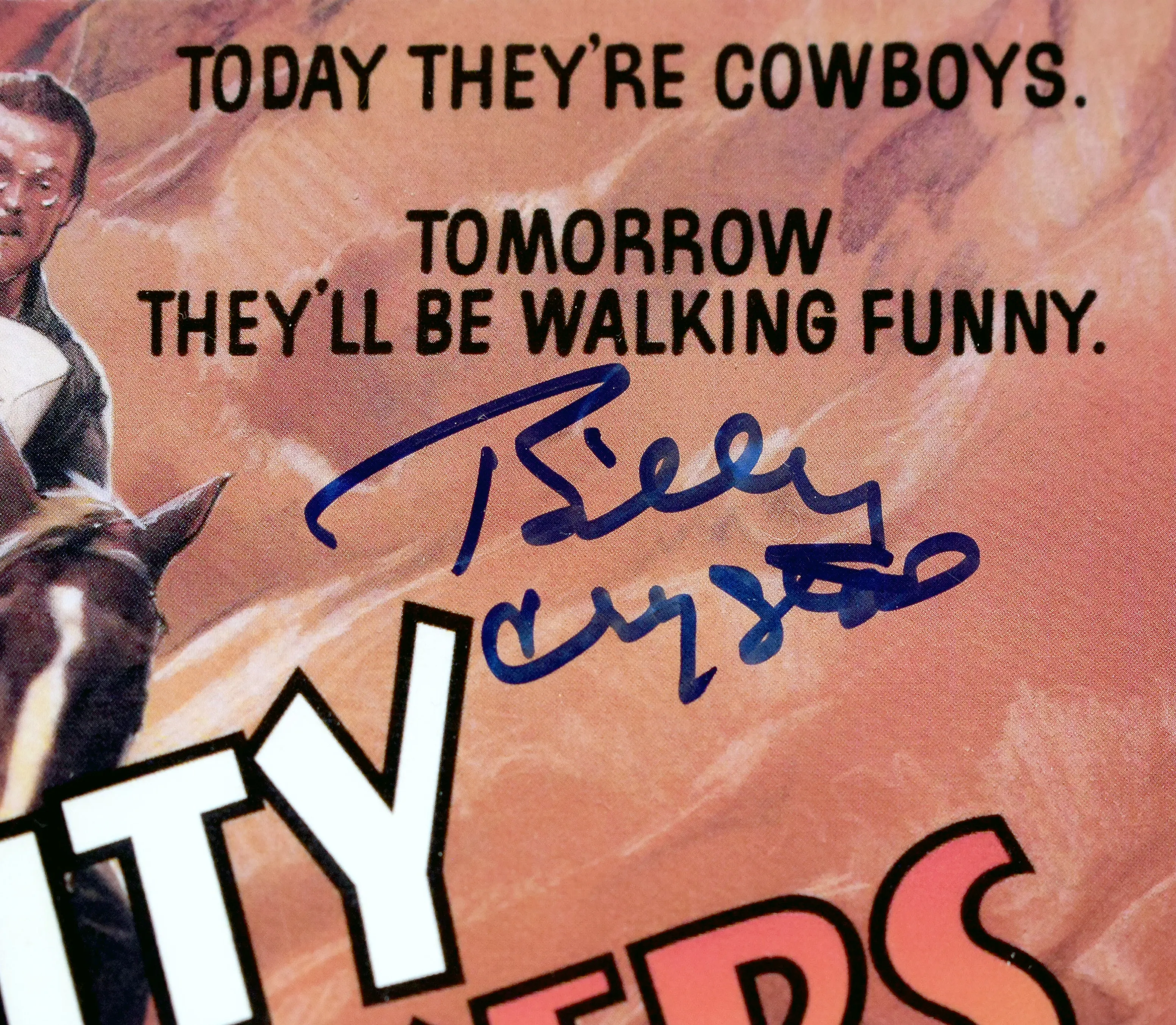 City Slickers 11x17 Poster, Signed