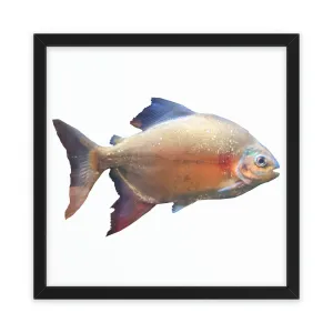 Colorful Peach Fish Framed Poster