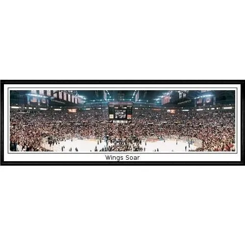 Detroit Red Wings Wings Soar"  - 13.5"x39" Standard Black Frame"