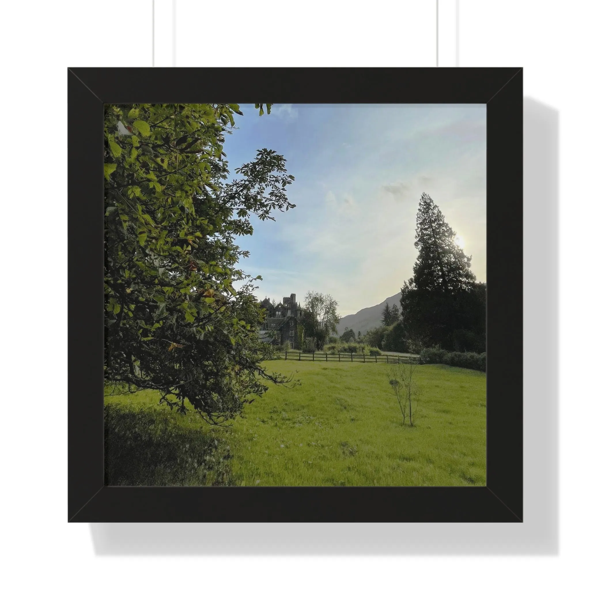 Dunans Castle & House from the Horse Chestnut Tree, Framed