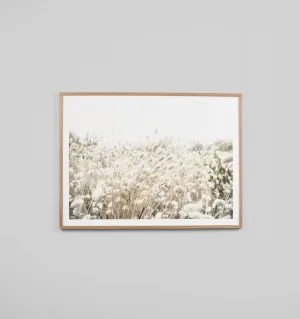 DUNE GRASS · FRAMED PRINT