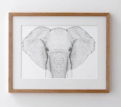 Full Faced Ethan The Elephant Limited Edition Dot Print