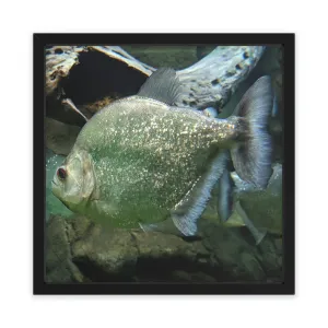 Glitter Green Fish Piranha Framed Poster