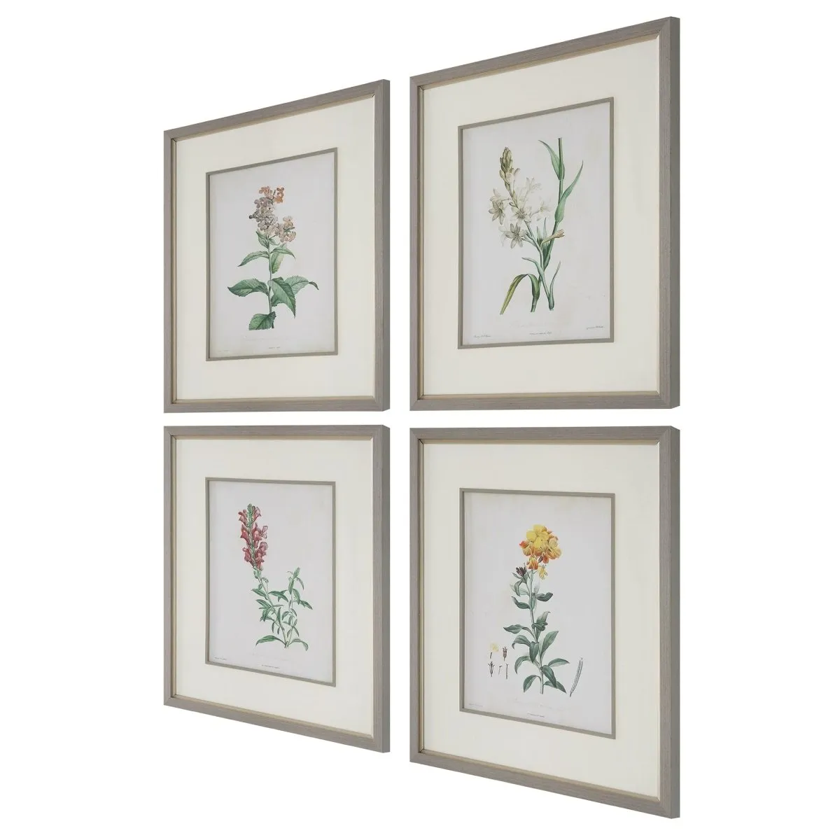 Heirloom Blooms Study Framed Prints Set/4