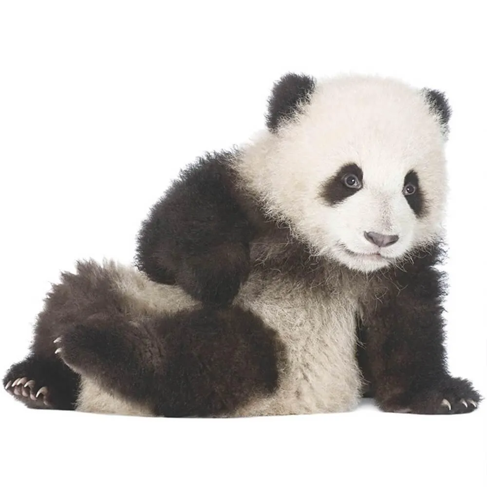 Lifelike Lovely Panda Peel and Stick Decal