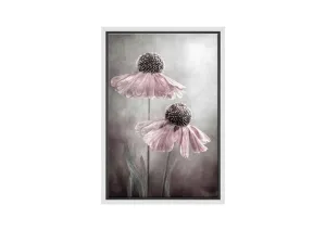 Lilac Cone Flower | Flower Wall Art Print