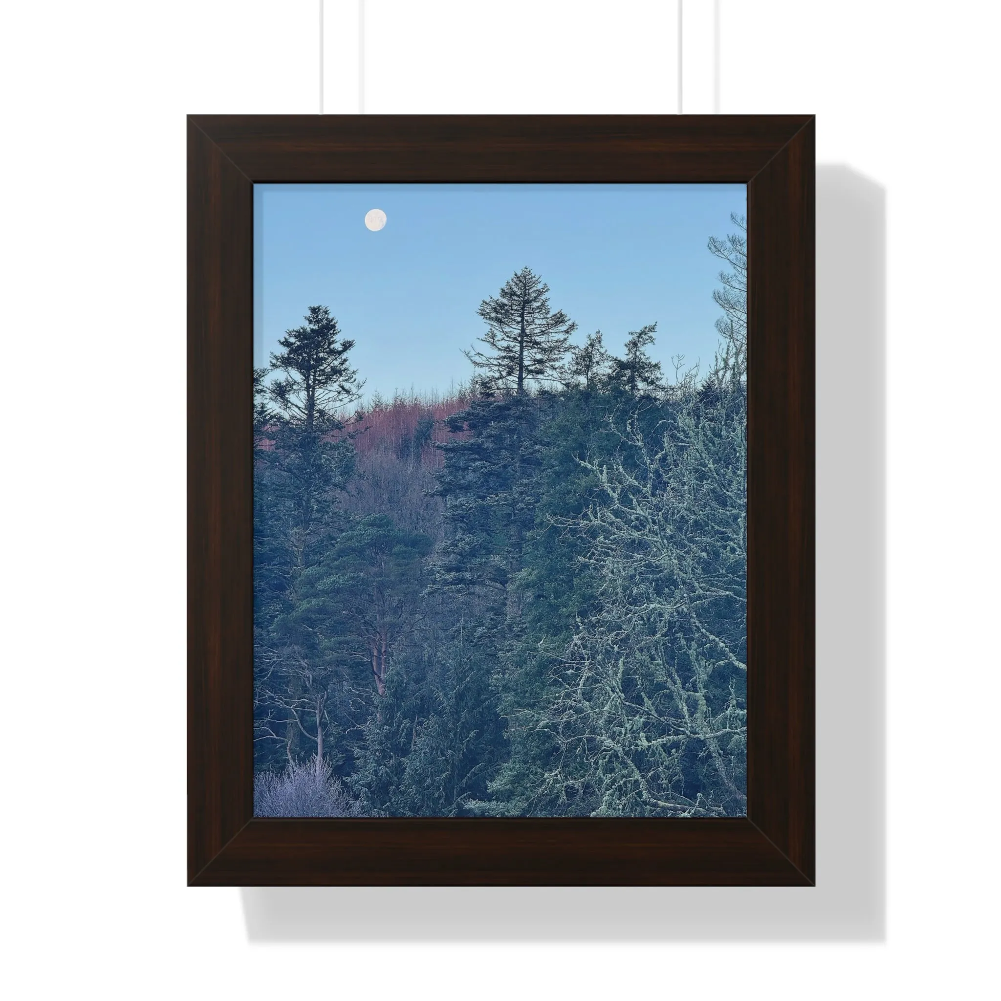 Moonset at Dunans, Framed