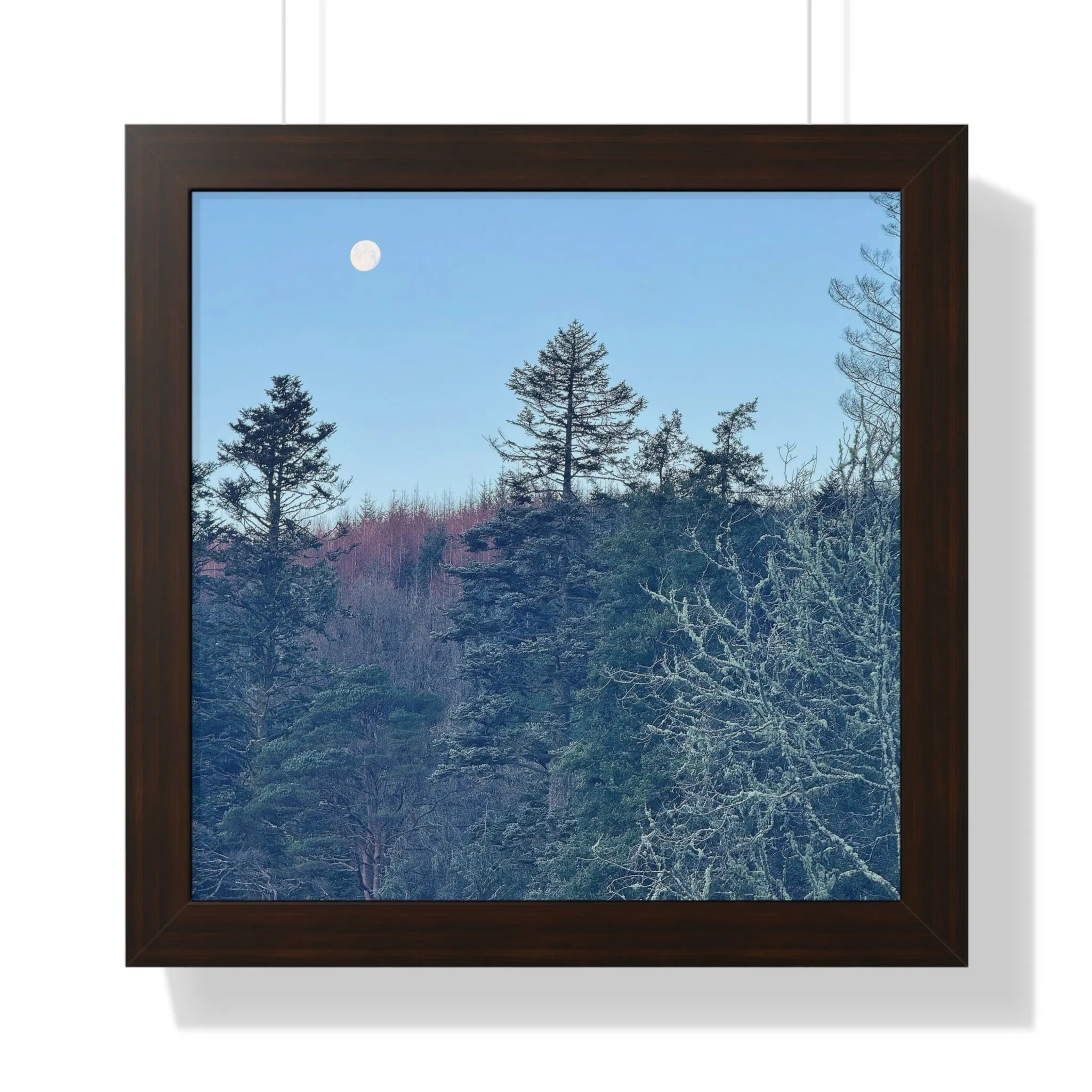 Moonset at Dunans, Framed