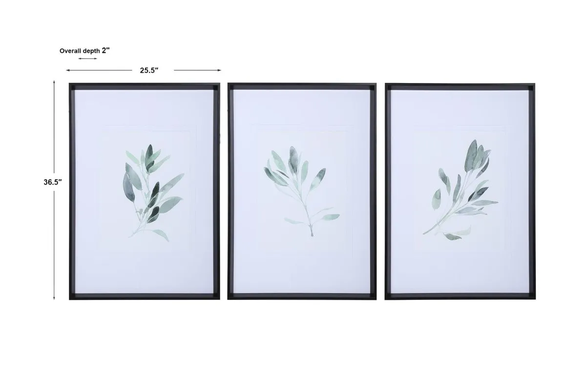 Simple Sage Watercolor Prints, S/3