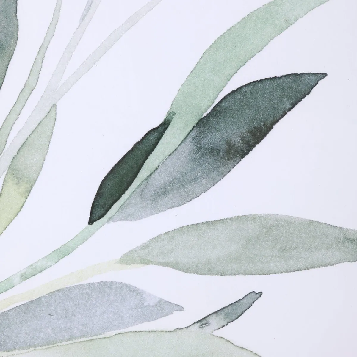 Simple Sage Watercolor Prints, S/3