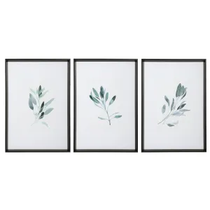 Simple Sage Watercolor Prints, S/3