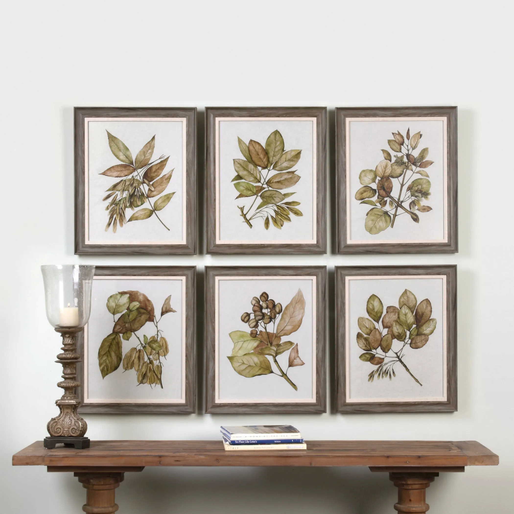 Uttermost Seedlings Framed Prints S/6