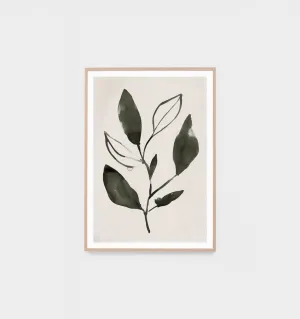 Watercolour Botanical Framed Print